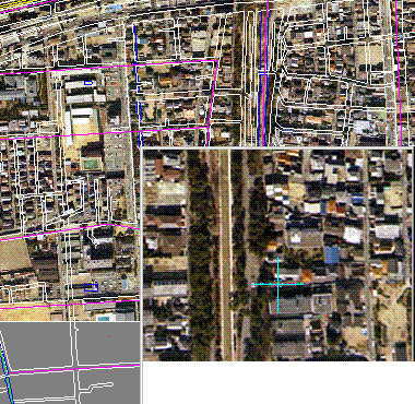 ���X�^�[�X�i�b�v�E